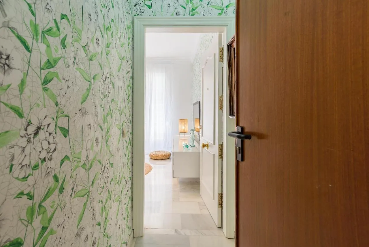 Nuevo! En Pleno Centro De La Ciudad, Mucha Luz Apartment Malaga 0*,